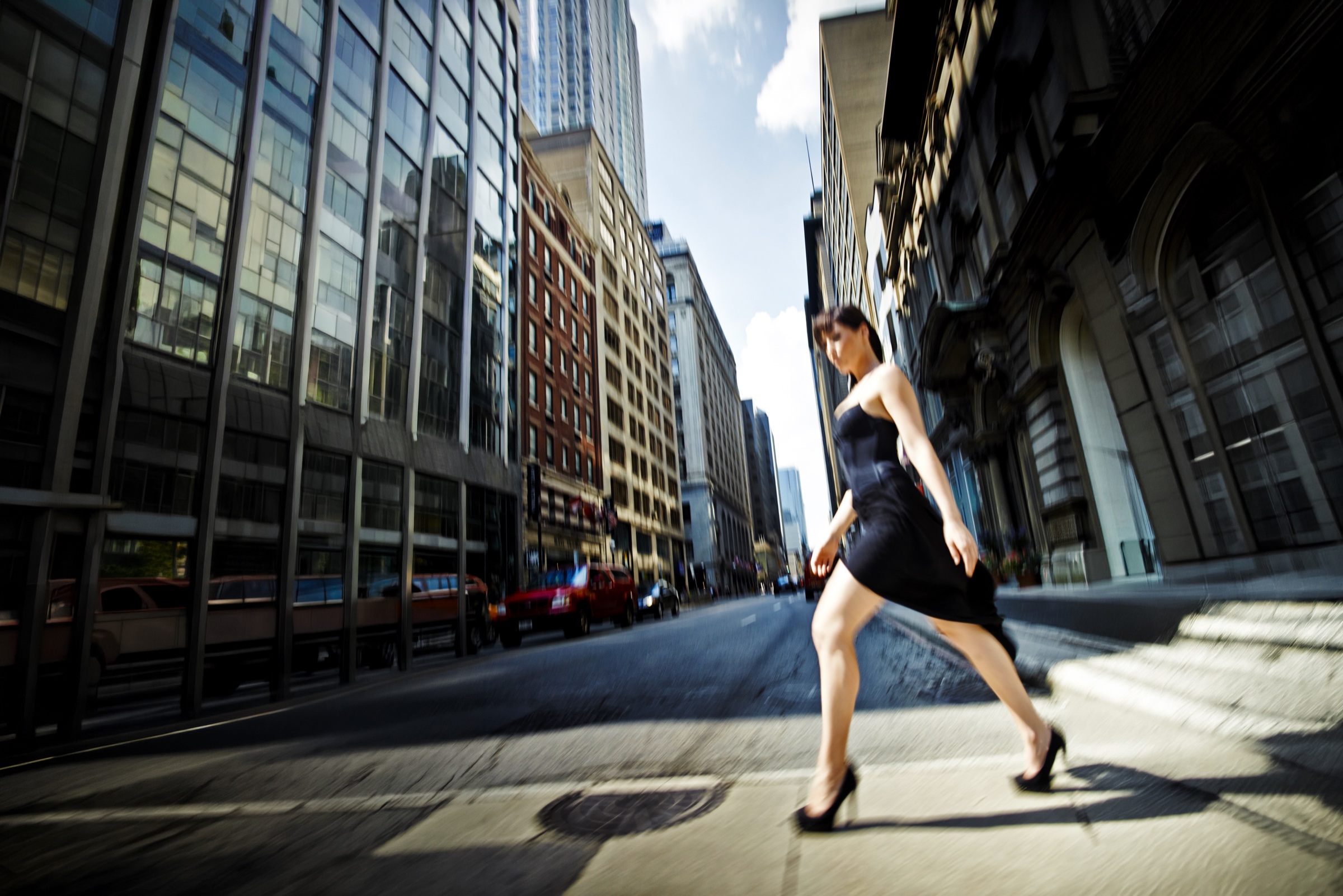 Krystal traversant une rue de Toronto